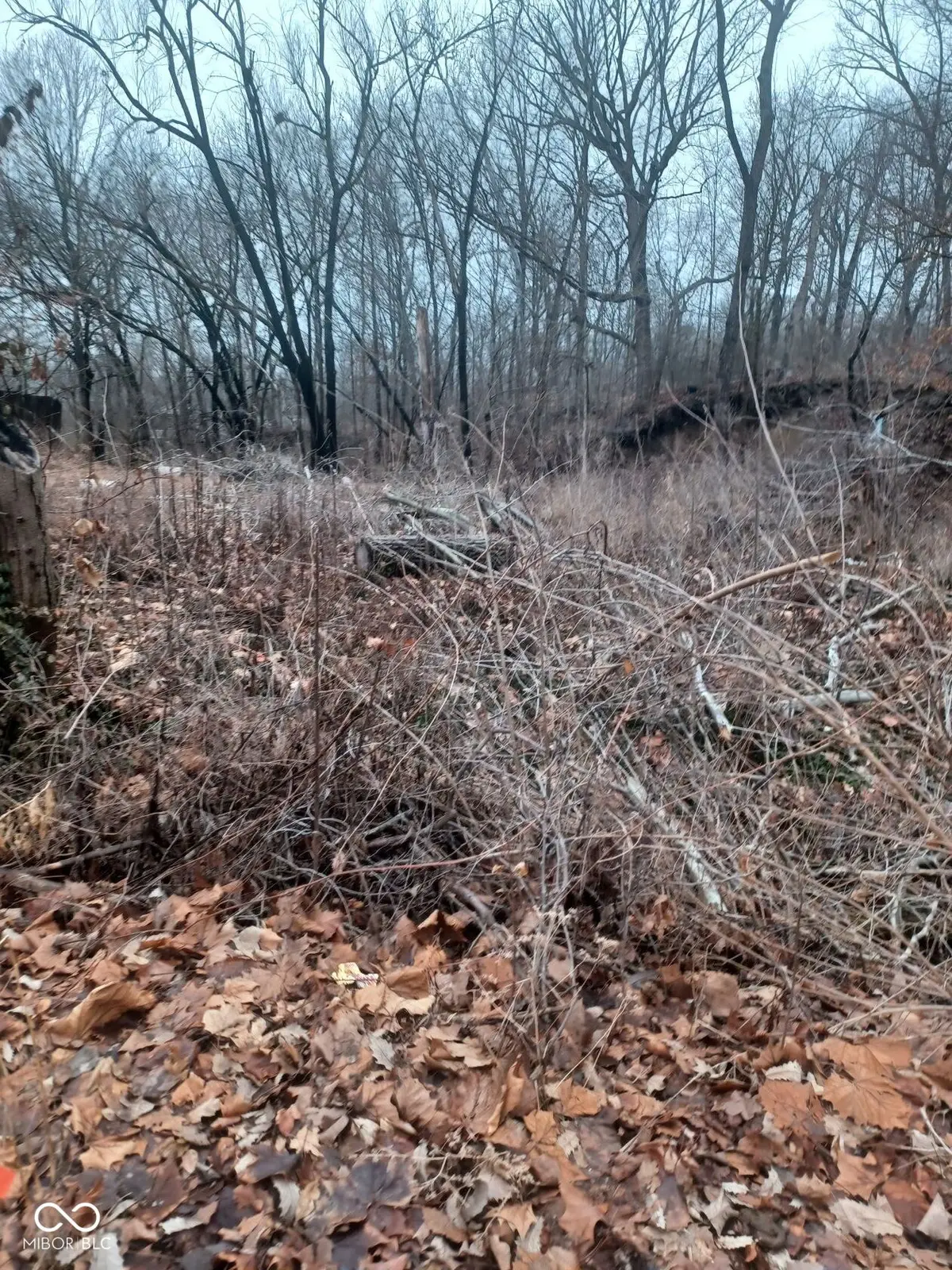 4702 Lesley Avenue, Indianapolis, IN 46226 - #1