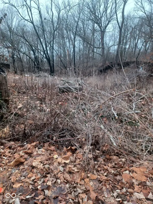 4702 Lesley Avenue, Indianapolis, IN 46226