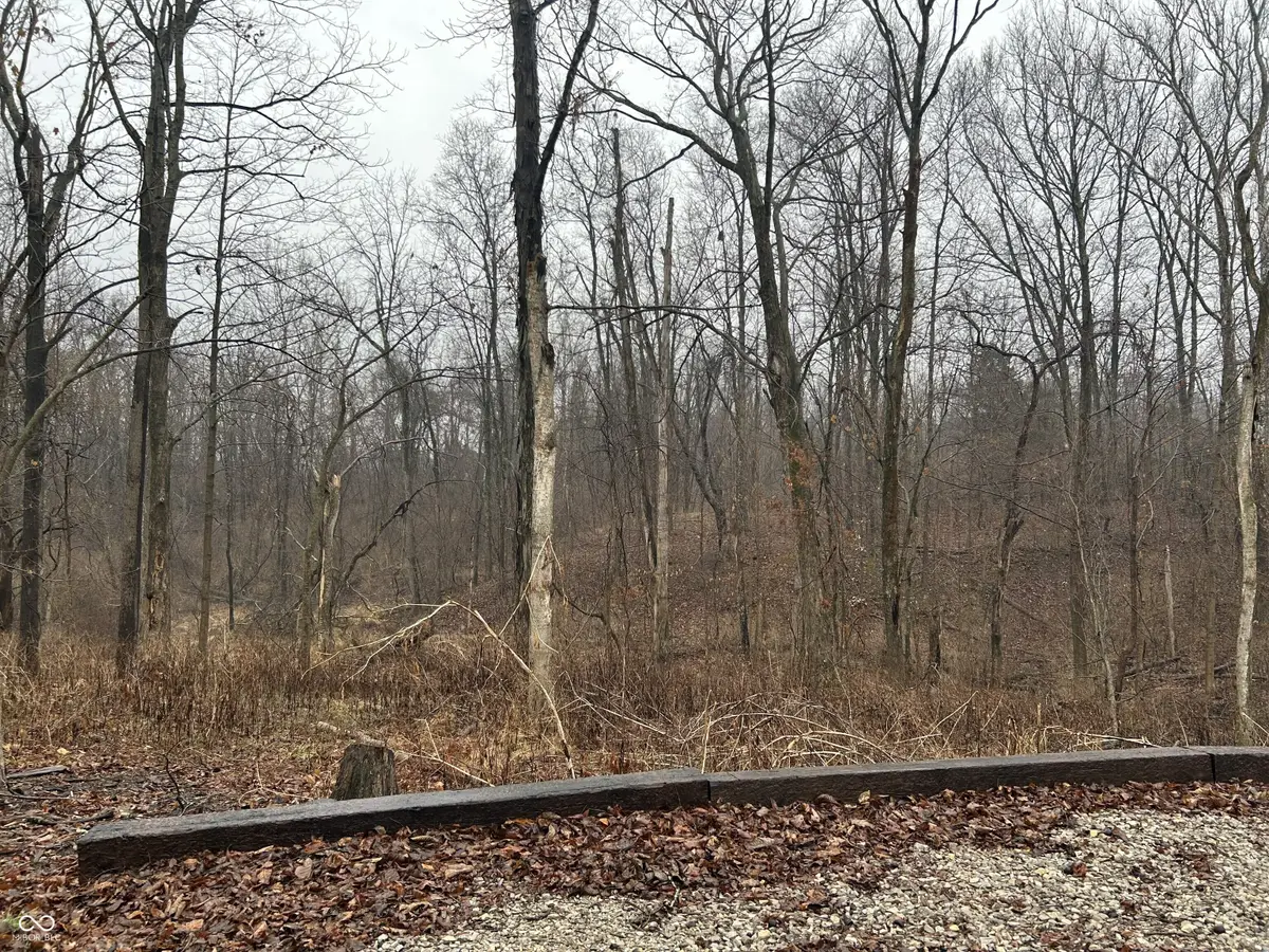 7793 S Howard Prince Drive, Nineveh, IN 46164 - #1