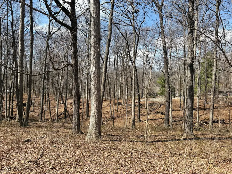 0 Beaver Drive, Nineveh, IN 46164 - #3