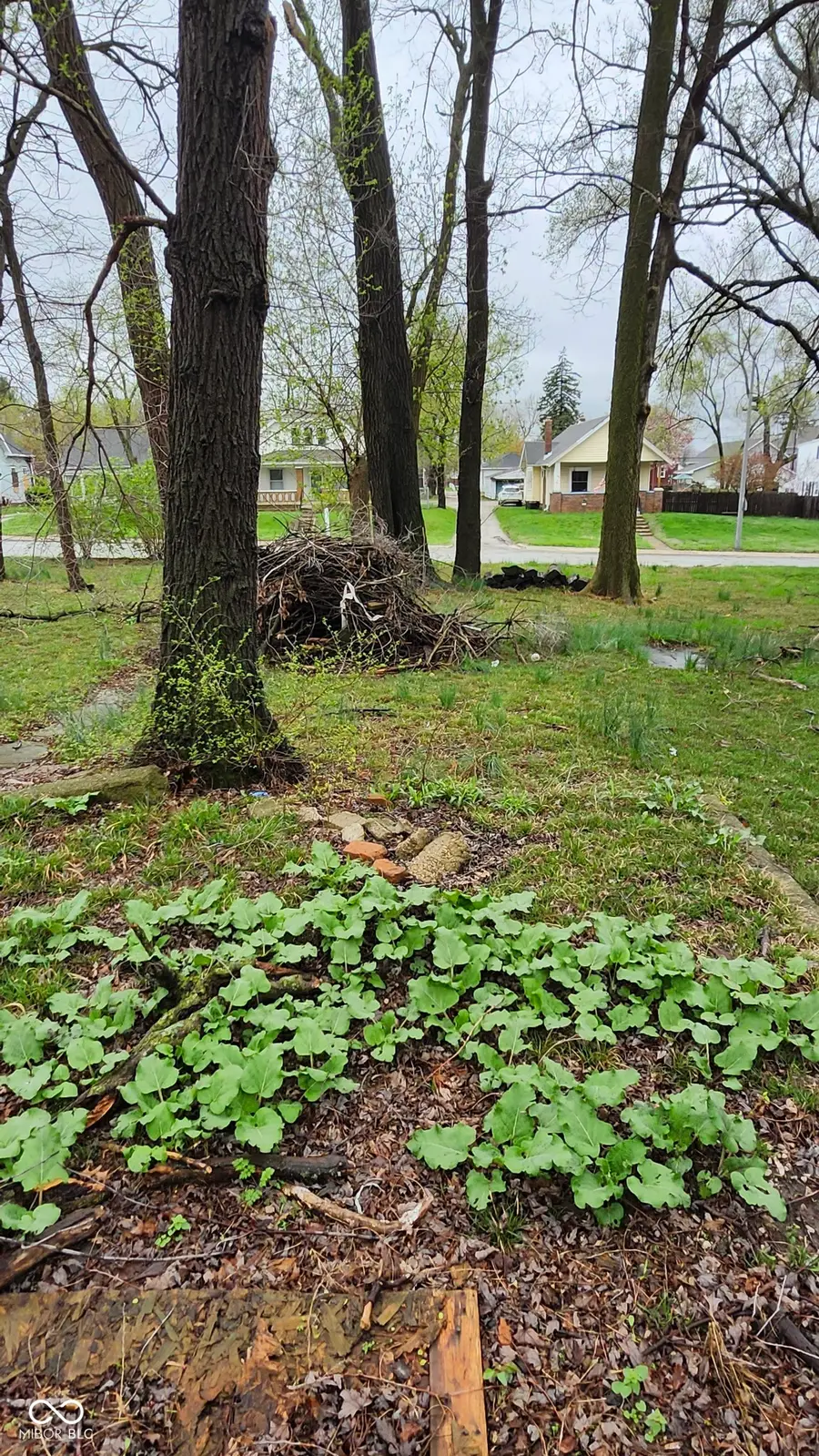 2517 Madison Avenue, Indianapolis, IN 46225 - #2