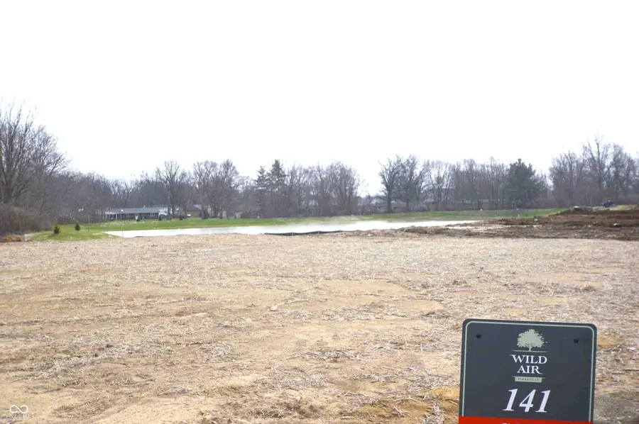 6123 Littleton Street, Zionsville, IN 46077 - #3