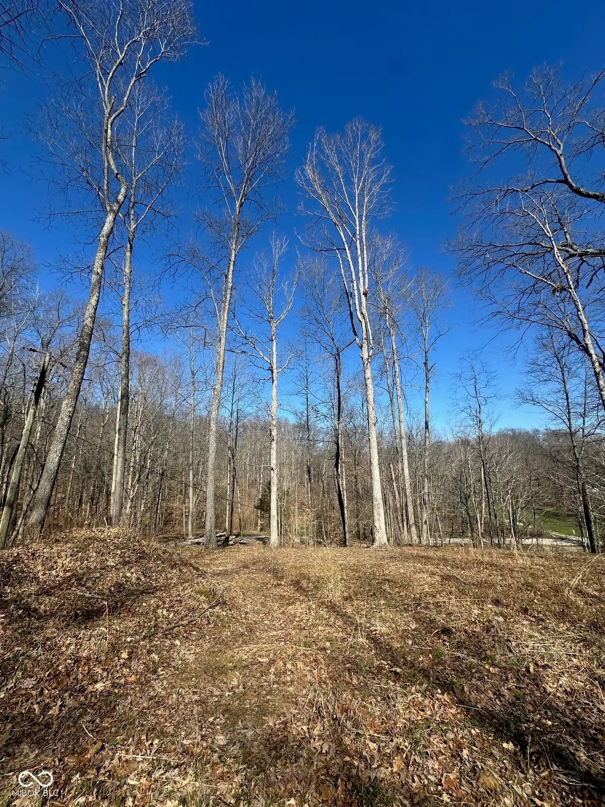 0 N Lasalle Road, Morgantown, IN 46160 - #1