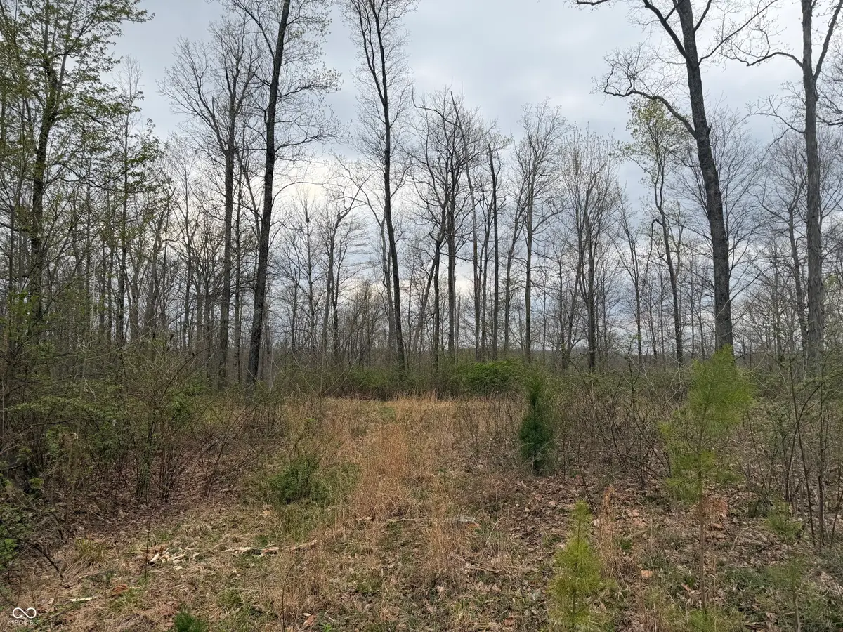 9000 N County Road 525 W, Freetown, IN 47235 - #1