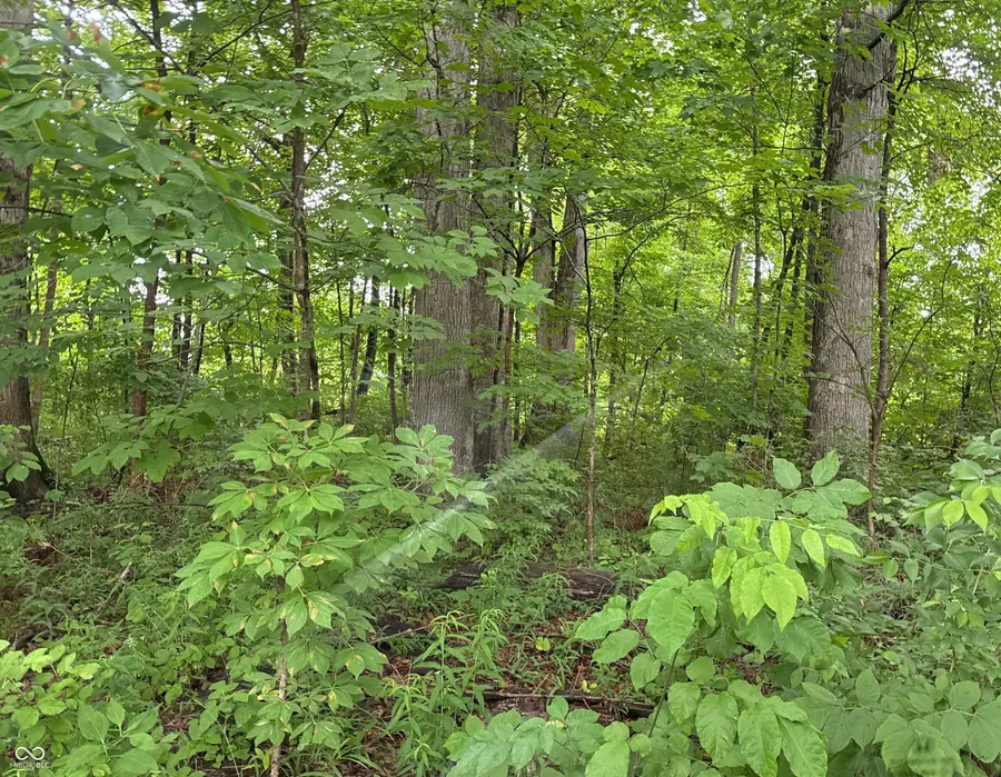 304 Cleveland Street, Beech Grove, IN 46107 - #2