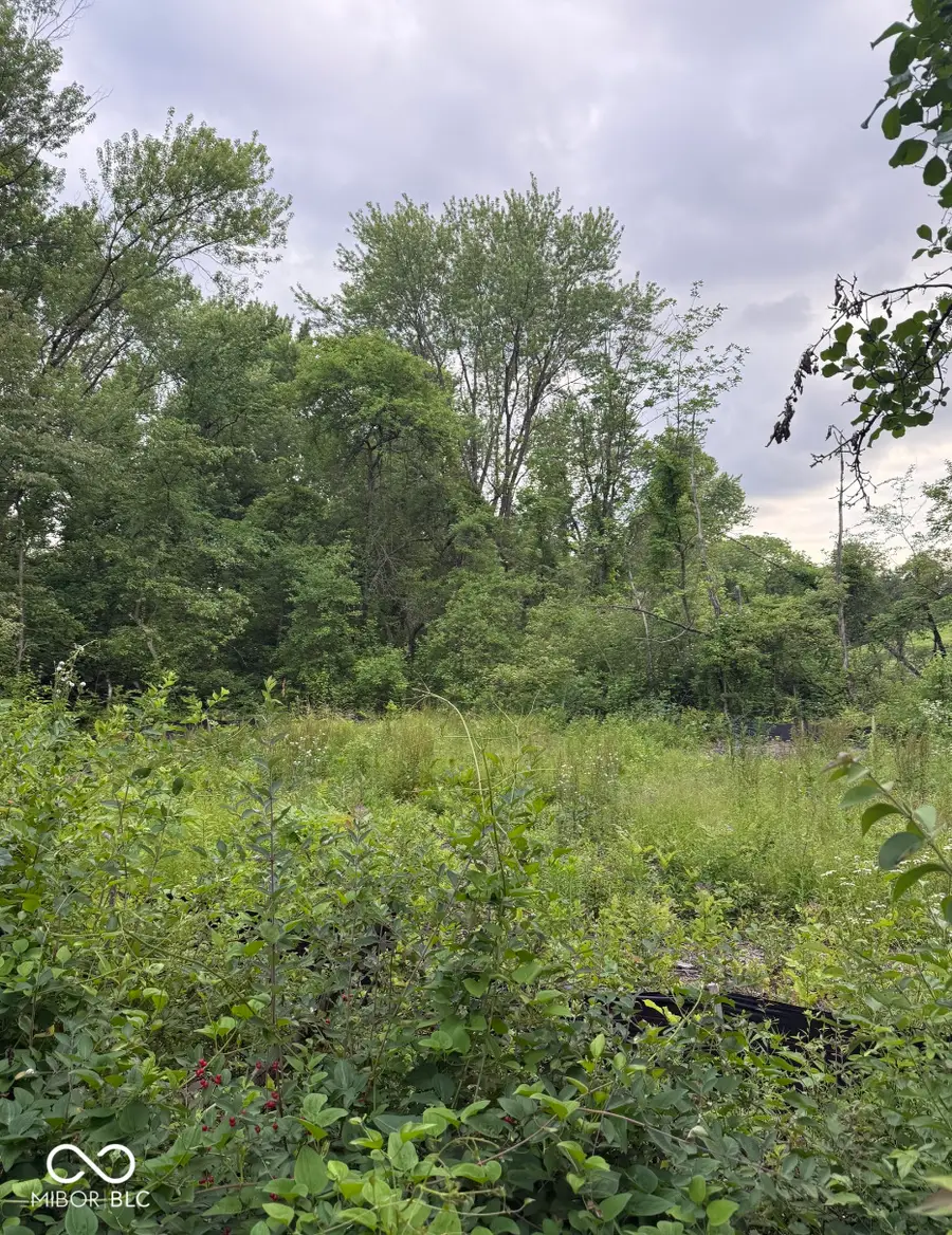 2972 Opal Street, Indianapolis, IN 46268 - #2