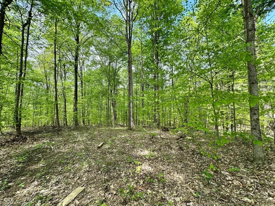 2039 S Austin Court, Martinsville, IN 46151 - #3