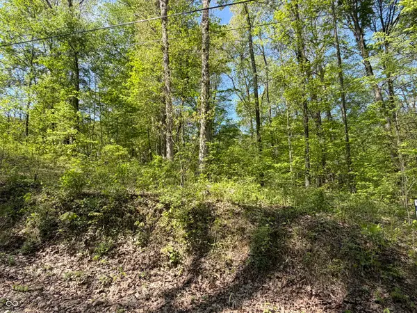 00 Straight Line Road, Coal City, IN 47427