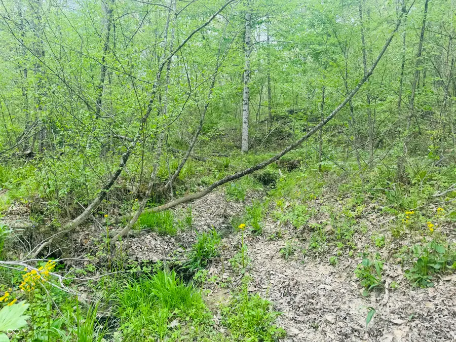 Lot 3 - Eagle View Mt Healthy Road, Columbus, IN 47201 - #3