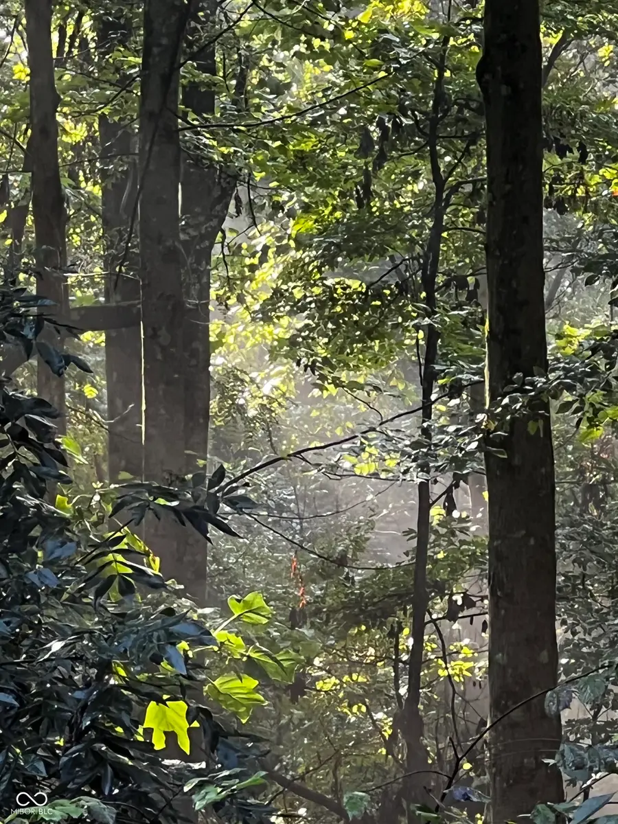 0 E Jada Lane, Mooresville, IN 46158 - #3