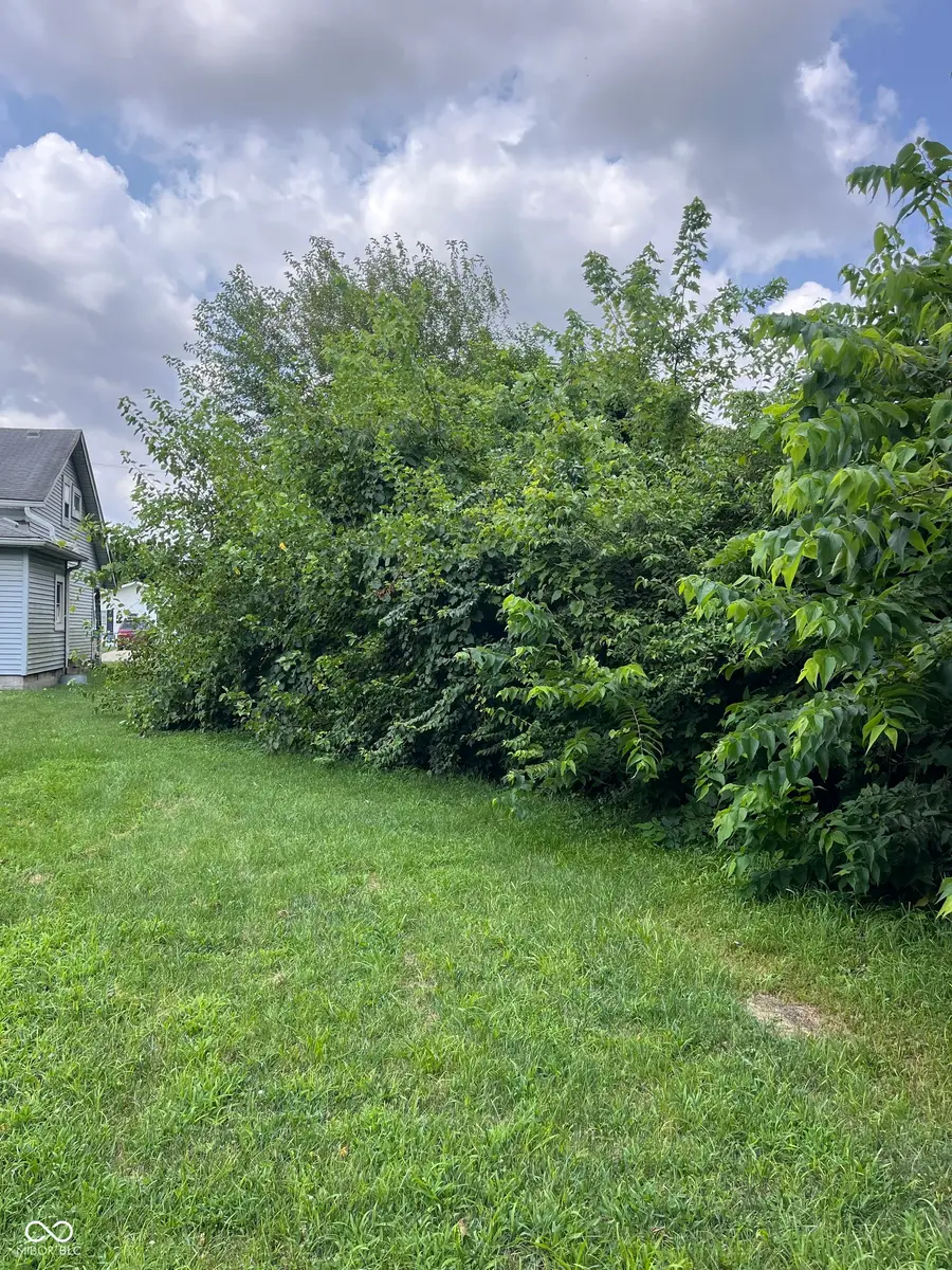 1343 Golay Street, Indianapolis, IN 46203 - #2