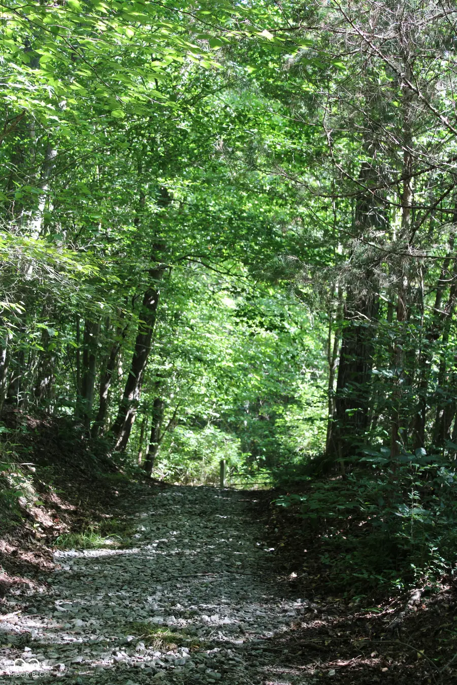 0 E Of Starr Road, Campbellsburg, IN 47108 - #2