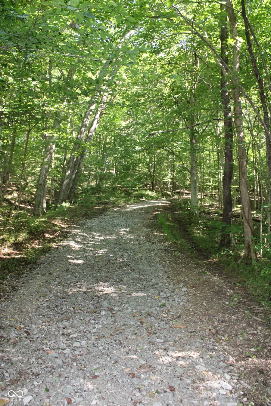 0 E Of Starr Road, Campbellsburg, IN 47108 - #3