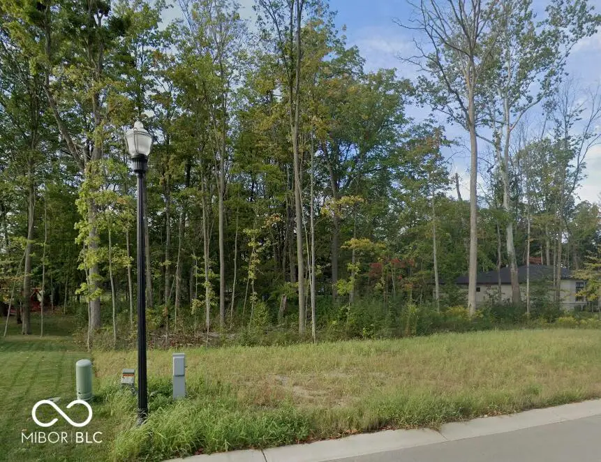 11135 Hamilton Run, Zionsville, IN 46077 - #1