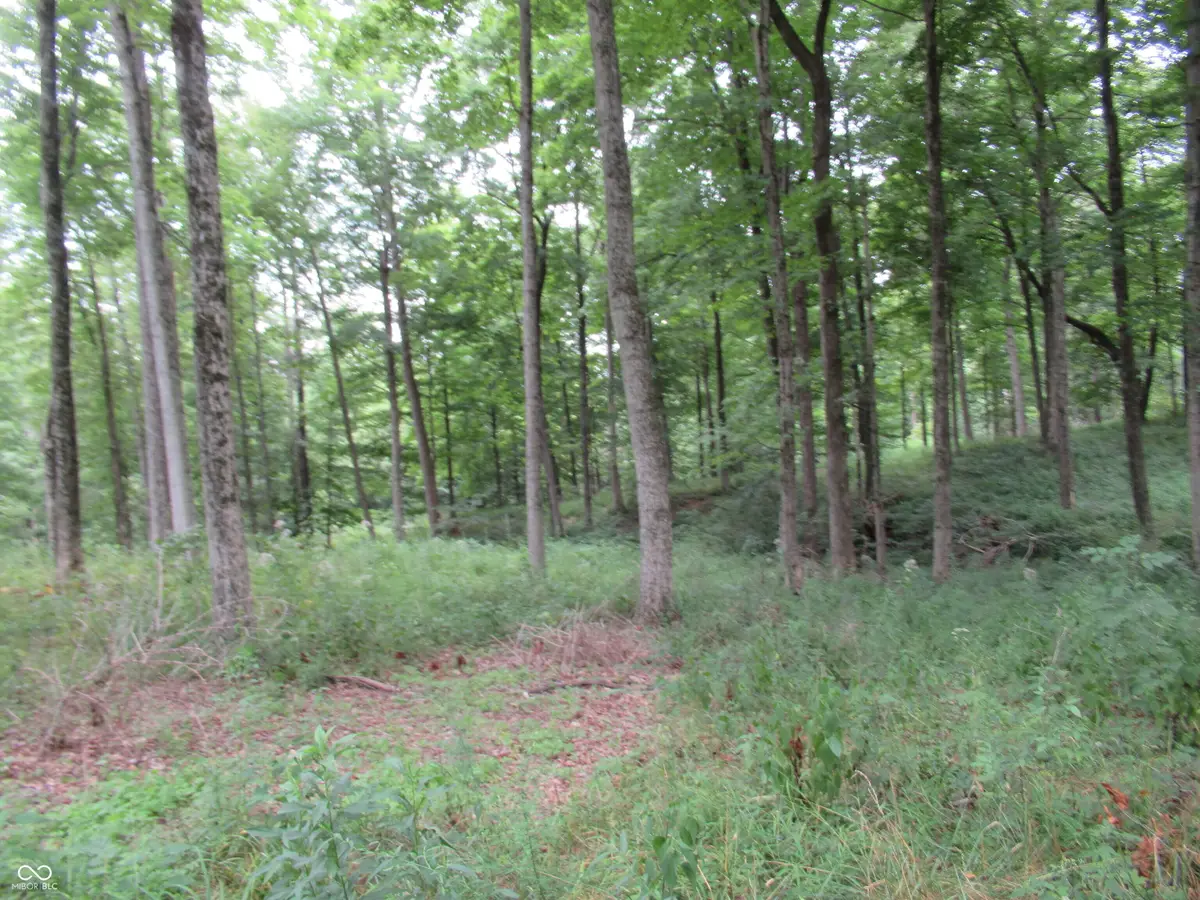 9550 West S, Manilla, IN 46150 - #1