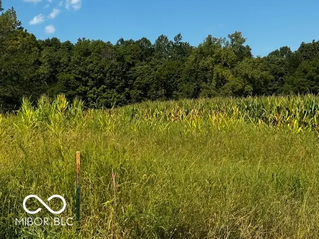 Lot #1 N 100 W, Perrysville, IN 47974 - #2