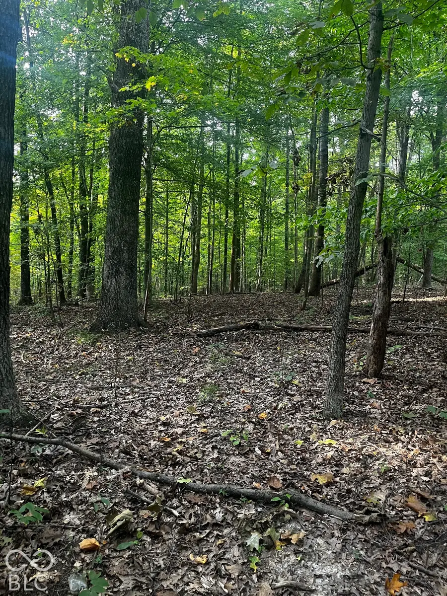 9089 Gold Point Road, Trafalgar, IN 46181 - #2