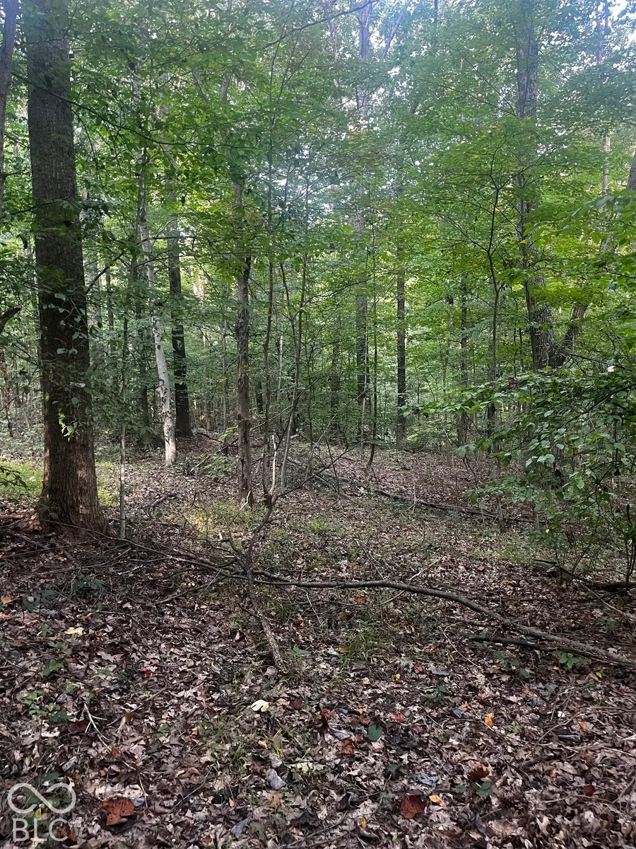 9089 Gold Point Road, Trafalgar, IN 46181 - #3