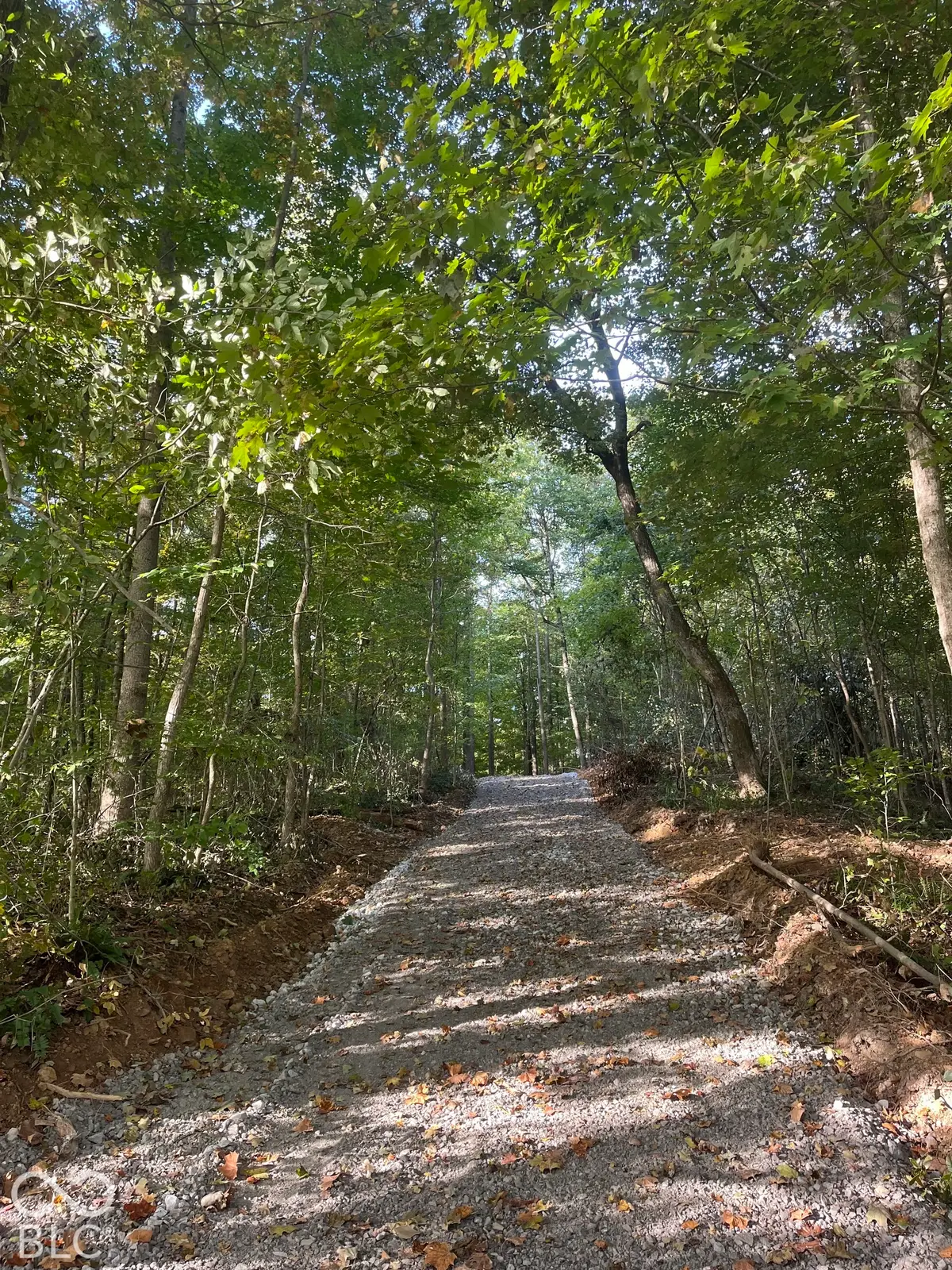 Tract 8 Sunnyside Road, Deputy, IN 47230 - #1
