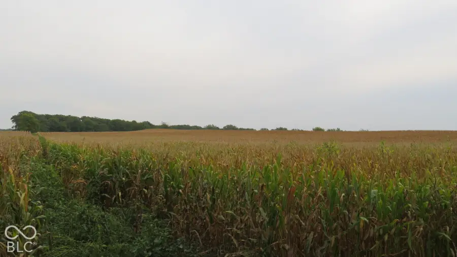 00 N 275 Road W, Crawfordsville, IN 47933 - #3