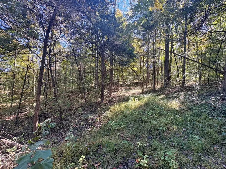 3920 N County Road 500 W, West Baden Springs, IN 47469 - #2