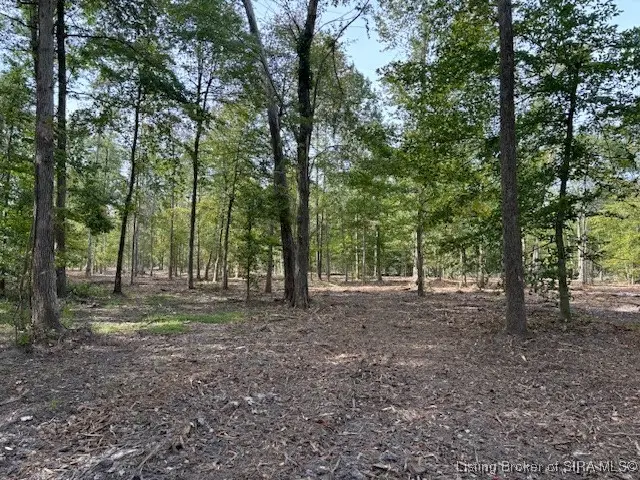 2675 W Borcherding Road, Madison, IN 47250 - #1