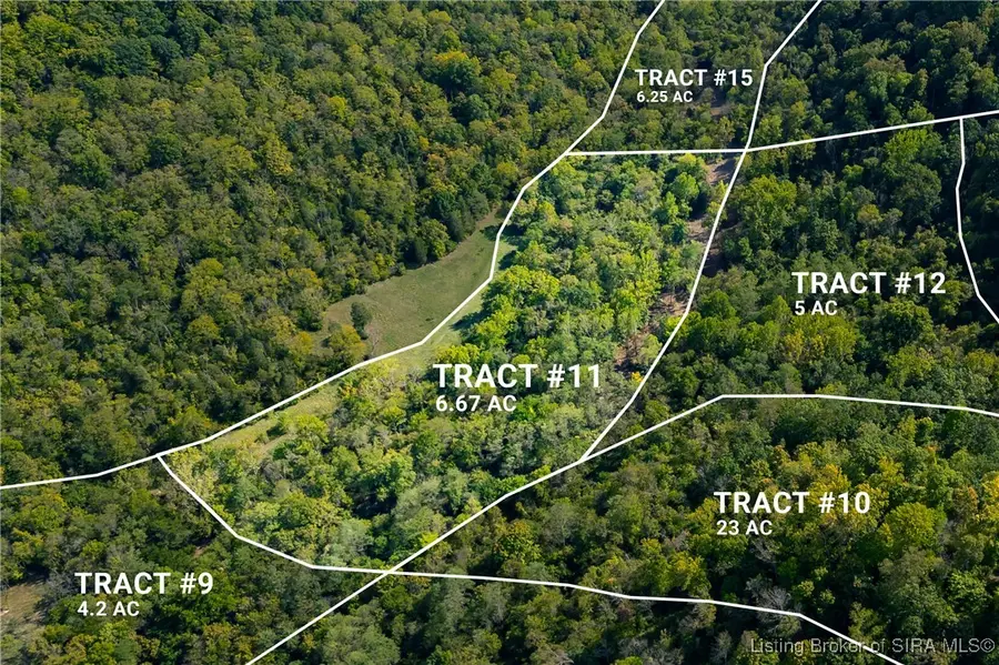 Tract 11 N State Road 156, Patriot, IN 47038 - #3