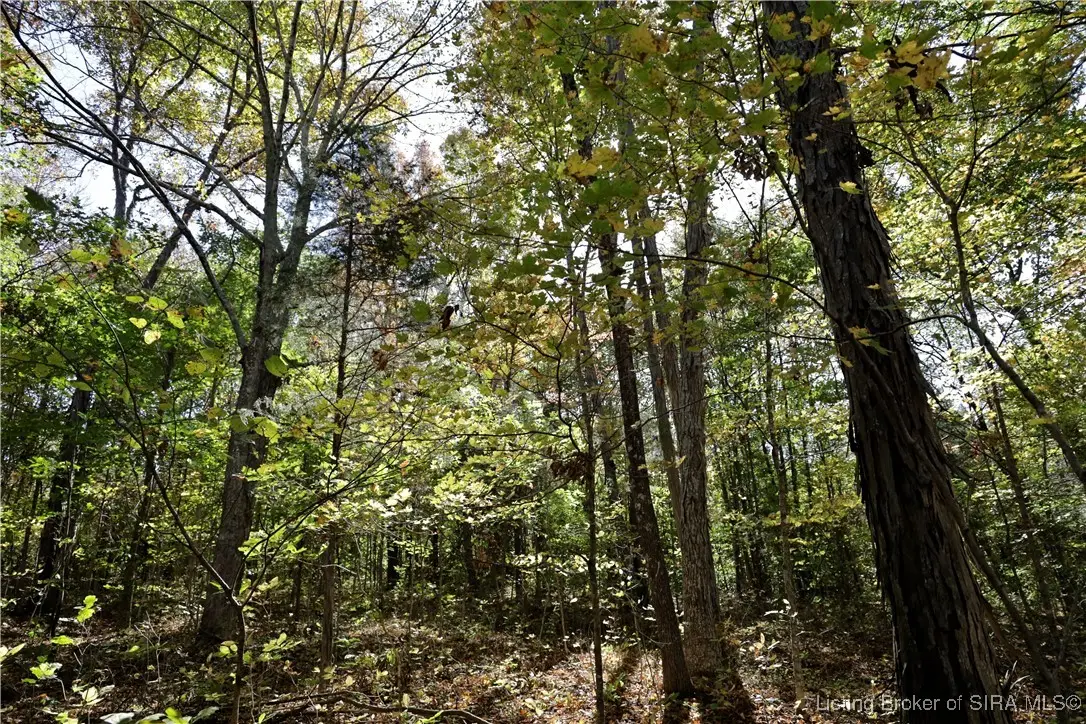 E Temple Road, Marengo, IN 47140 - #1