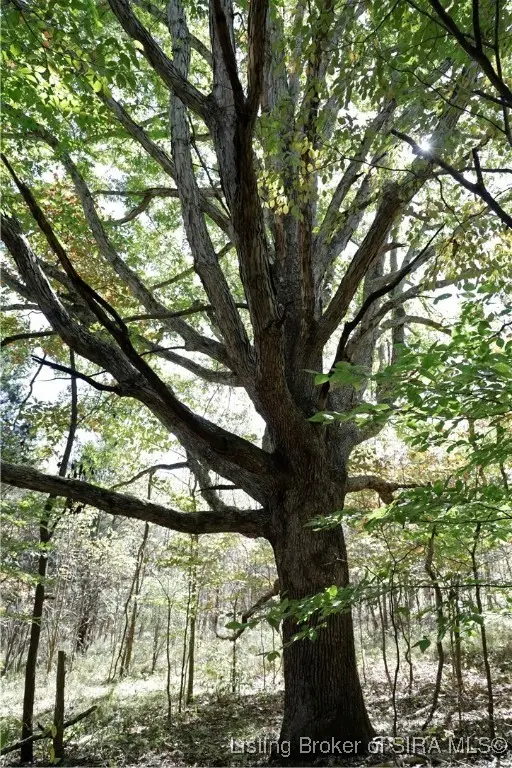 E Temple Road, Marengo, IN 47140 - #3