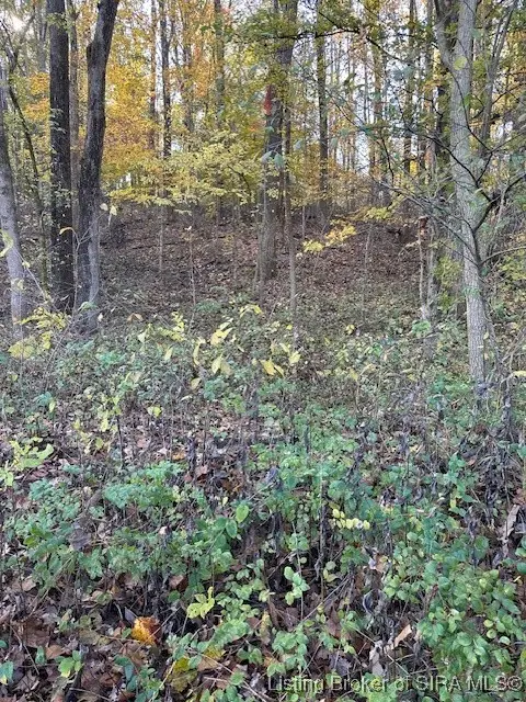 E State Road 56, Paoli, IN 47454 - #2