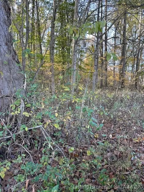 E State Road 56, Paoli, IN 47454 - #3