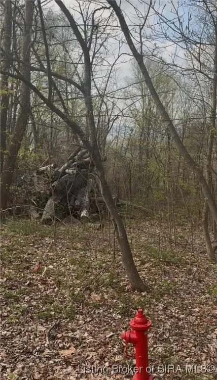 Majestic Lot 31 Way, Posey, IN 47112 - #1