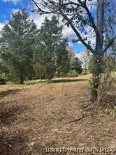 E Old 56 #4, Scottsburg, IN 47170 - #1