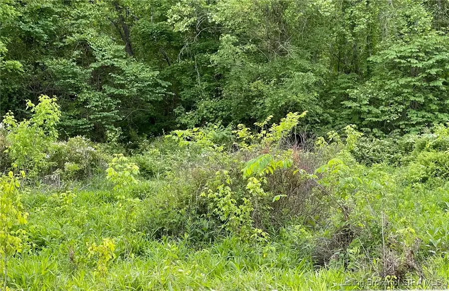 7.542 AC N State Rd. 37, English, IN 47118 - #3