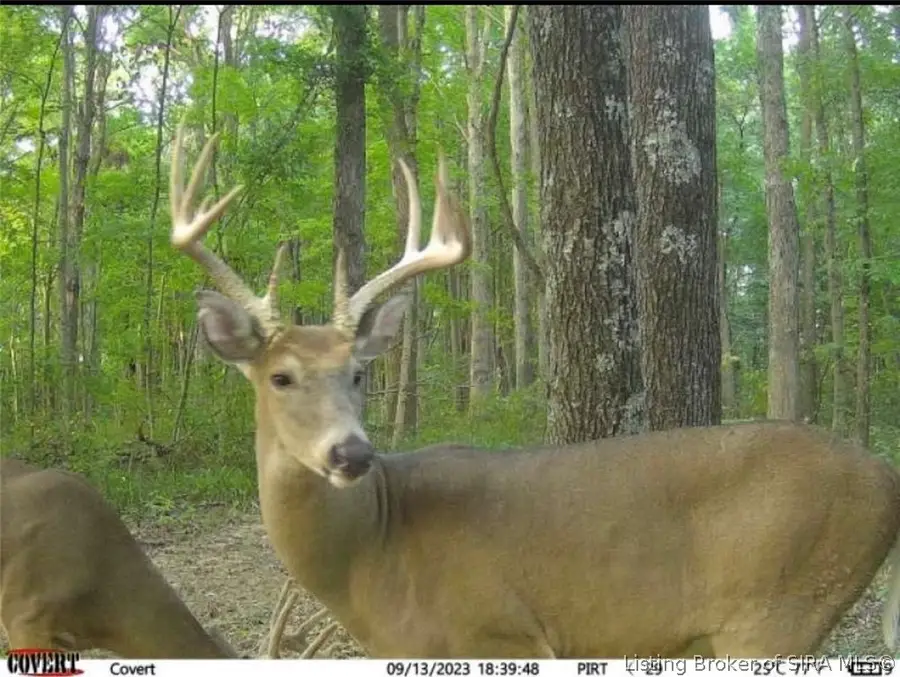 Lot #1 Deer Creek Road, Cannelton, IN 47520 - #2