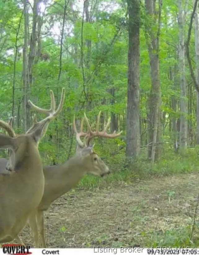 Lot #2 Deer Creek Road, Cannelton, IN 47520 - #3