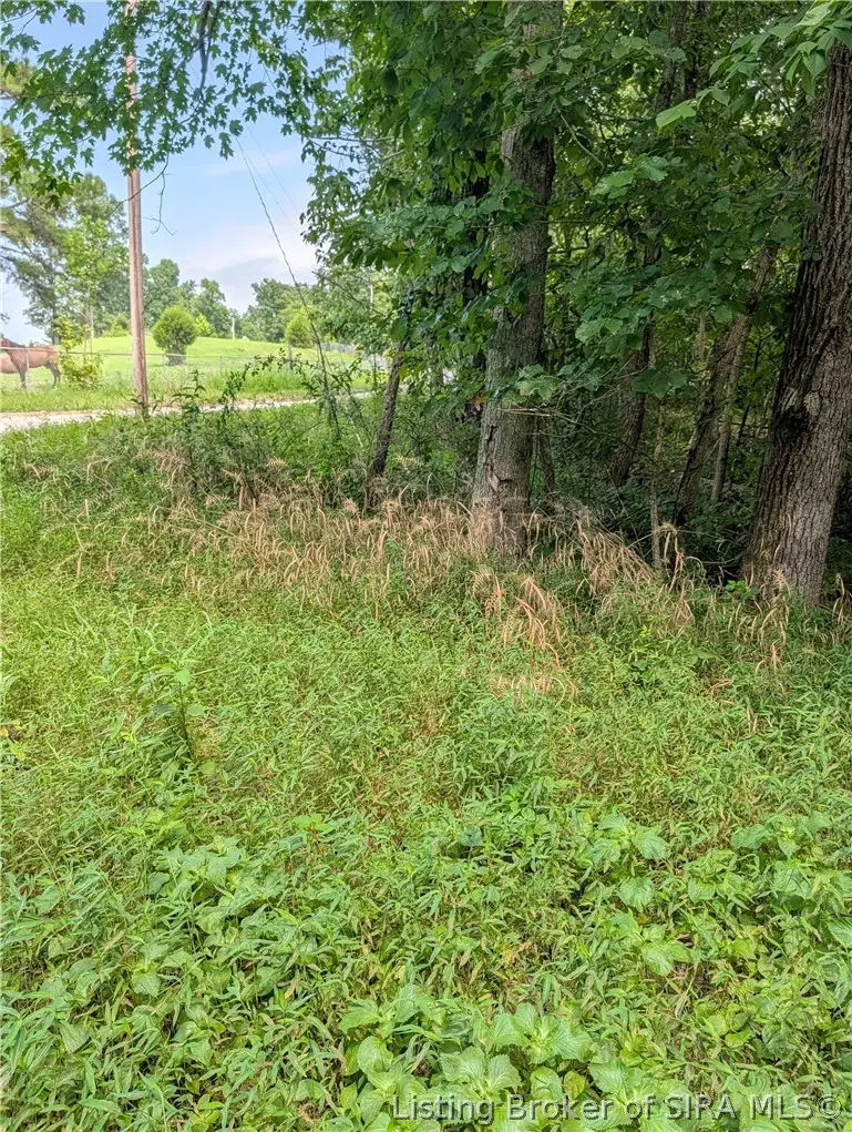 Chanley Road, Leavenworth, IN 47137 - #3