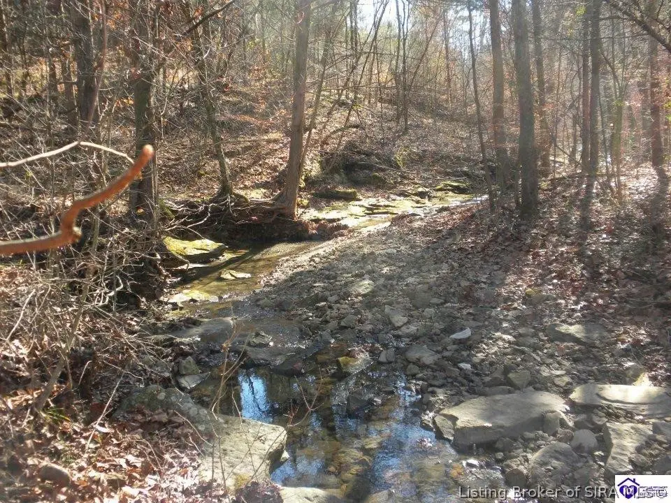 2409 Benleo Road, Greencastle, KY 42101 - #1