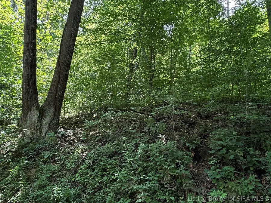 W Wheeler Hollow Road, Vallonia, IN 47281 - #3