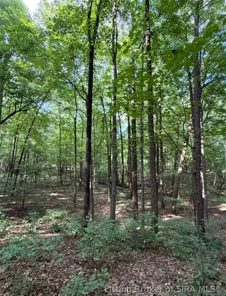 49.49 AC Baptist Church Road, Elizabeth, IN 47117 - #2