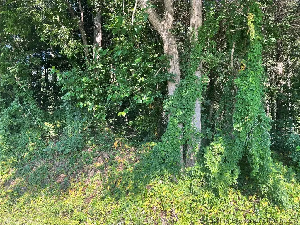 Clapp Road, Otisco, IN 47163 - #1