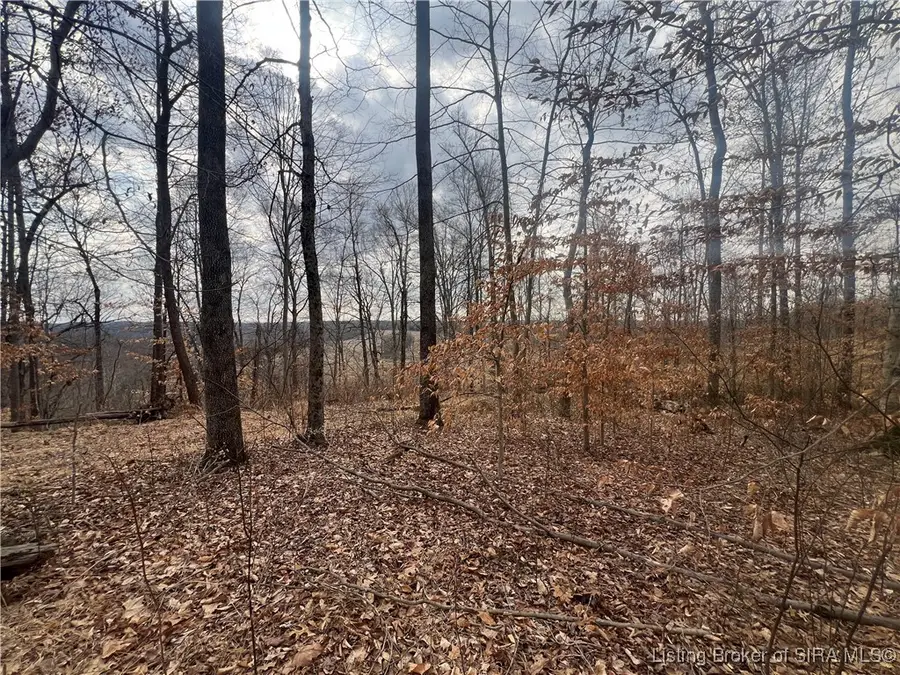 0000 Hwy 135 #Tract 3, New Salisbury, IN 47161 - #3