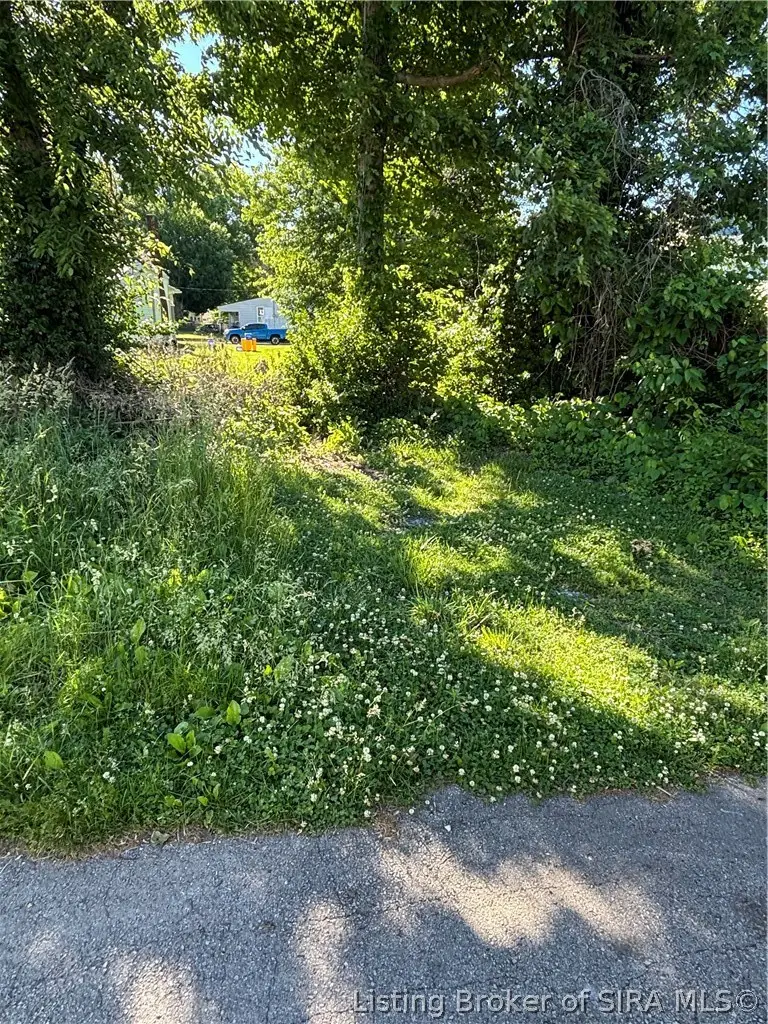 1317 Locust Street, New Albany, IN 47150 - #3