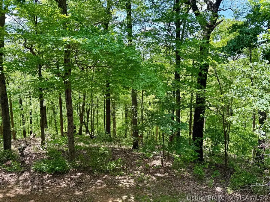 5819 Blunk Knob Road, Elizabeth, IN 47117 - #3