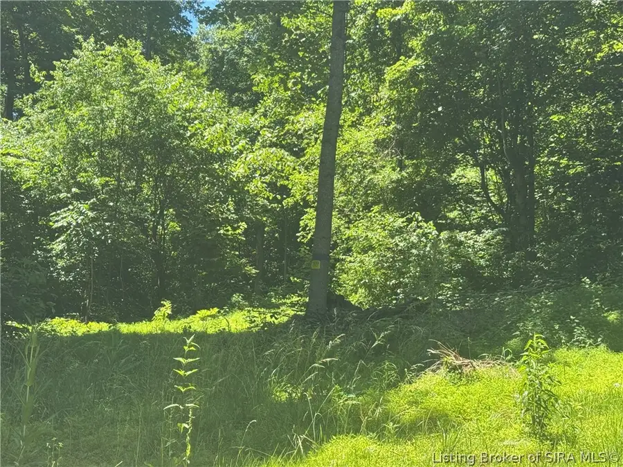 5  AC Squire Boone Road Sw, Mauckport, IN 47142 - #3