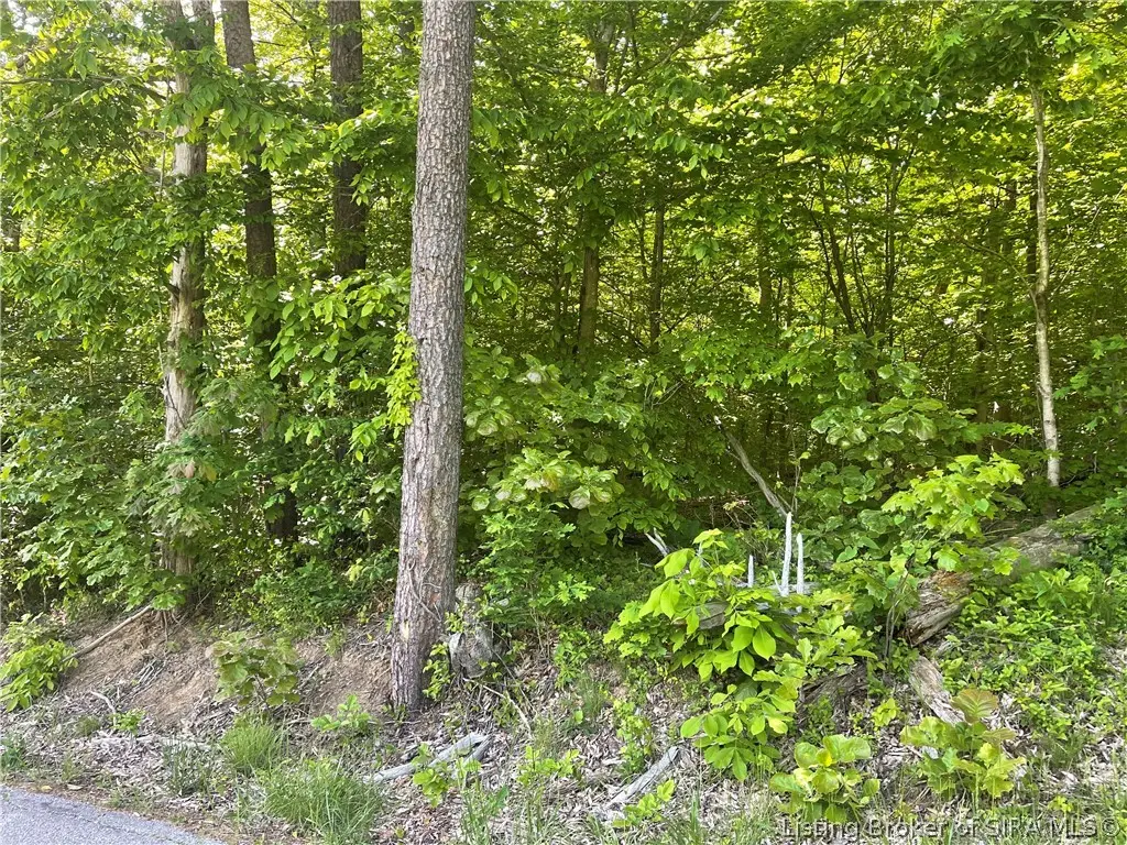 Forestry Road, Henryville, IN 47126 - #1