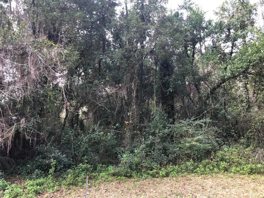 119 Magnolia Court, Melrose, FL 32666 - Image #3