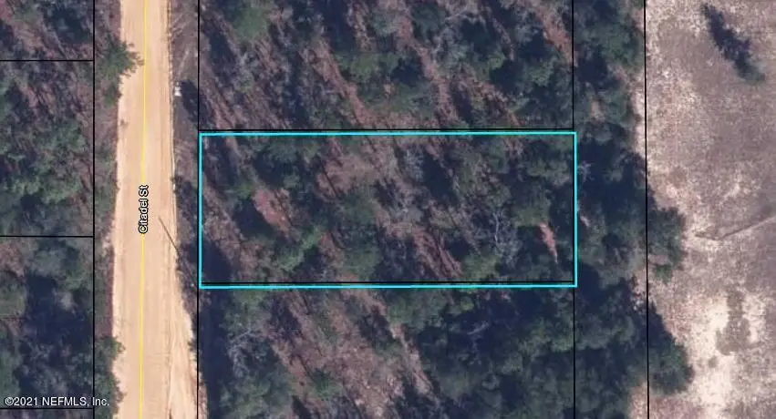 7269 Citadel Street, Keystone Heights, FL 32656 - #1