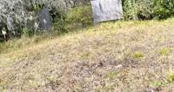 419 State Road 207, East Palatka, FL 32131 - Image #1