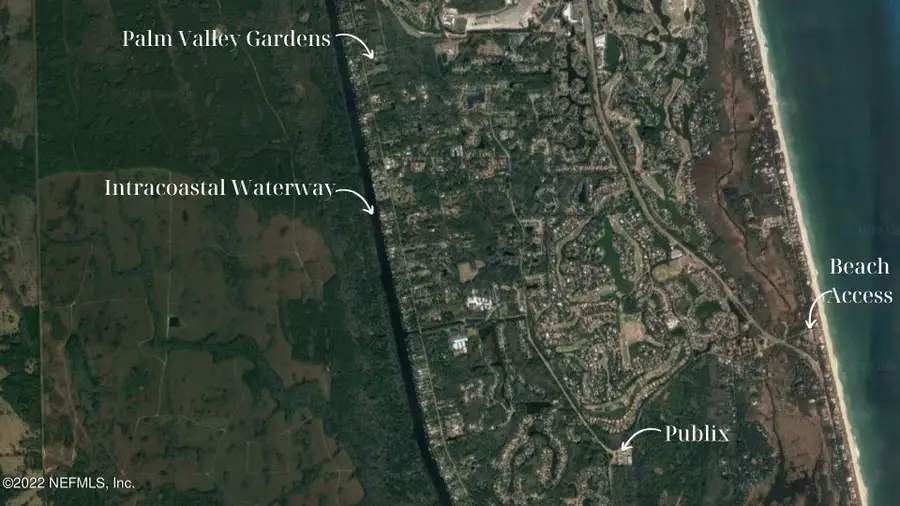 45 Valley Gardens Road, Ponte Vedra Beach, FL 32082 - Image #3